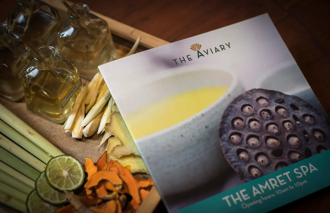 The Aviary Hotel-1